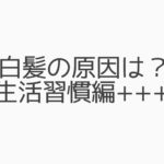 【若白髪の悩み＊乱れた生活習慣を見直すと改善する？】