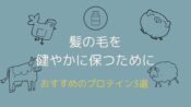 髪の毛を健やかに保つために！！おすすめのプロテイン3選◎